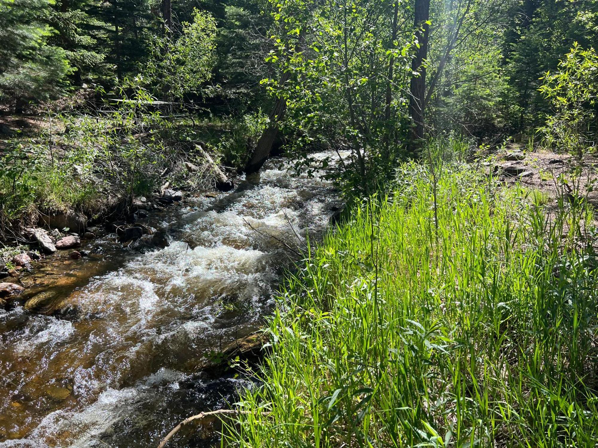 Cozy Cabin On The Creek Colorado City Eksteriør bilde