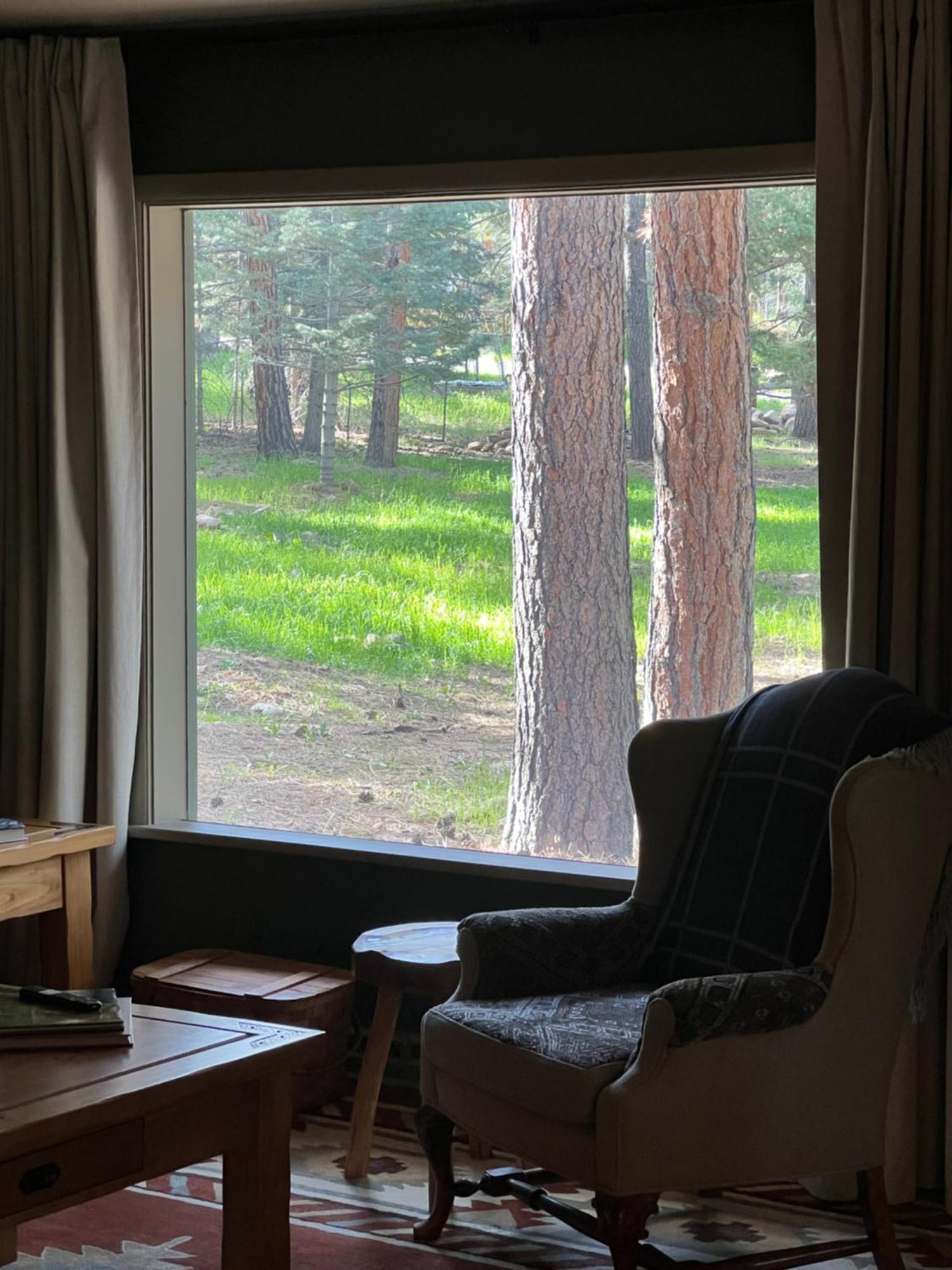 Cozy Cabin On The Creek Colorado City Eksteriør bilde