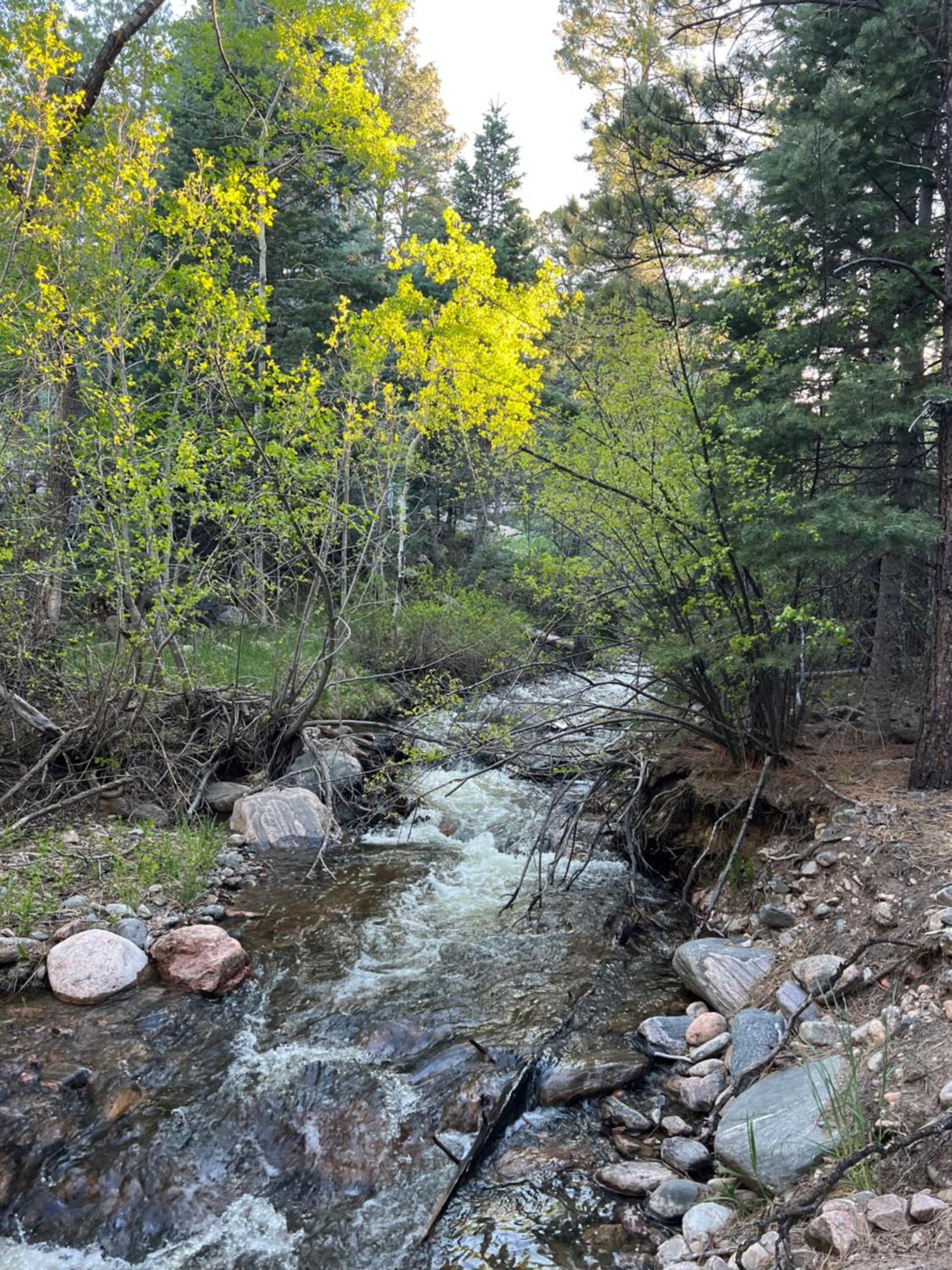 Cozy Cabin On The Creek Colorado City Eksteriør bilde